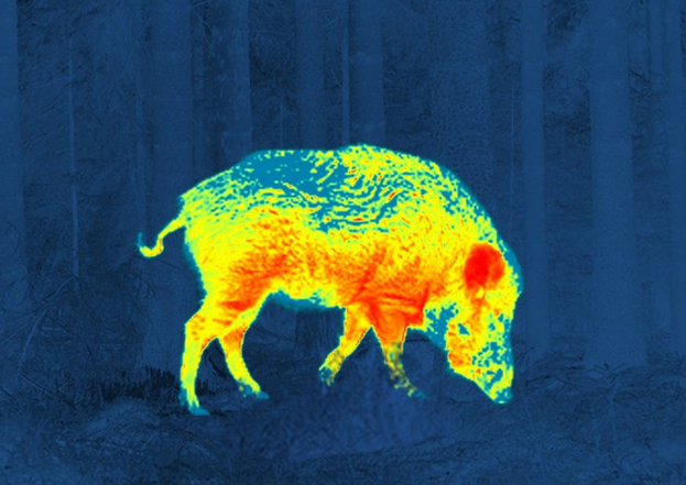 How the "Intelligent Ballistic Computing System" of Infrared Thermal Imaging Sight Reshaps